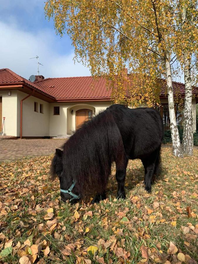 Villa Zacisze Jurajskie